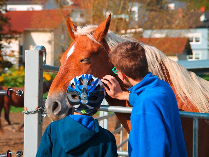 Kinder streicheln ein Pferd