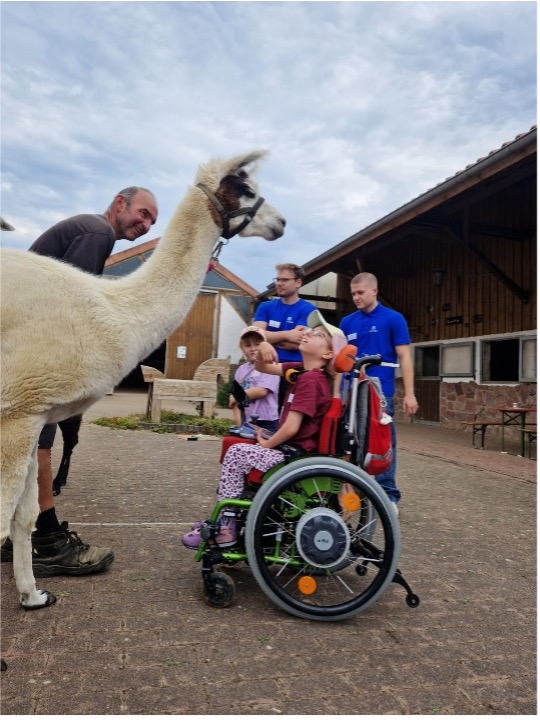 Tiere bestaunen