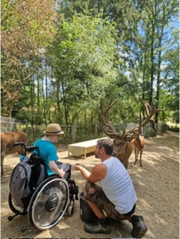 Mit Rollstuhl im Gehege