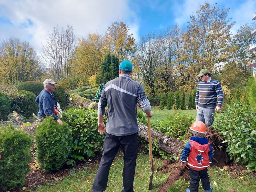 Kinder und Helfer beim Baum