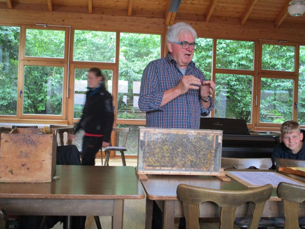 Erklärung zu Bienen