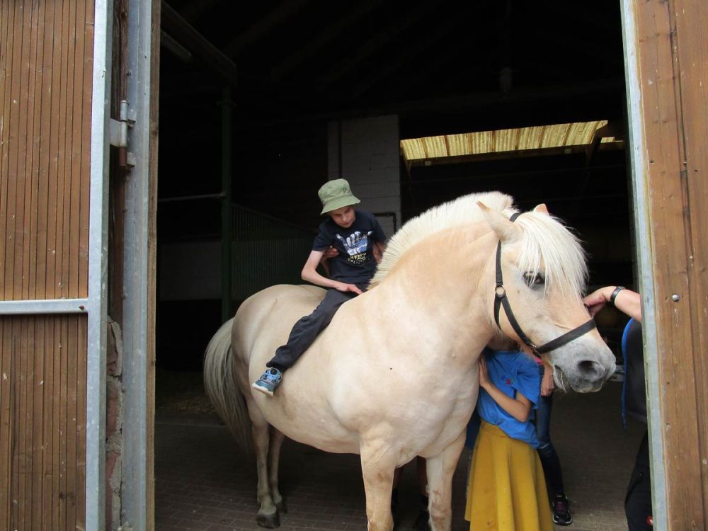 Reiten auf dem Pferd